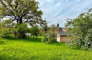 Haus kaufen in 97516 Oberschwarzach, Oberschwarzach - Hof-Grundstück - Traumhafter Baumbestand & Denkmalschutzgebäude