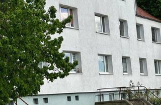 Mehrfamilienhaus kaufen in 06347 Gerbstedt, Gerbstedt - Mehrfamilienhaus als Kapitalanlage in Gerbstedt