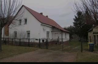 Haus kaufen in 03226 Vetschau, Vetschau/Spreewald - Träume im grünen verwirklichen auf fast 3000 m² Wassergrundstück