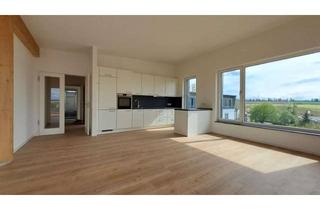 Lofts mieten in Eugen-Kaiser-Straße 54, 61130 Nidderau, Helle 4-Zimmer-Loft-Wohnung mit EBK und großem Balkon