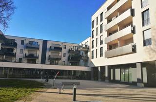 Wohnung mieten in Salamanderplatz, 70806 Kornwestheim, Geschmackvolle 2-Raum-Wohnung mit Balkon und EBK in Kornwestheim