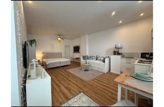 Wohnung mieten in Geschwister -Scholl-Platz 11, 63741 Nilkheim, Möbliertes 38 m² Apartment in Top-Lage – Perfekt für Pendler oder zur Zwischenmiete
