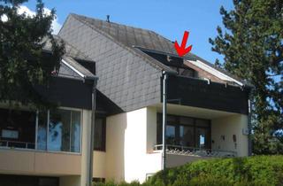 Wohnung mieten in Godenbergstraße 10, 23714 Malente, Helle 2-Zimmer-Wohnung mit EBK und Dachterrasse in Malente