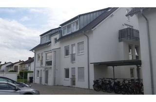 Wohnung mieten in Ringstraße 95, 69190 Walldorf, GERÄUMIGE 2 ZKB SOUTERRAIN-WOHNUNG IN WALLDORF