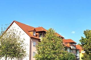 Wohnung mieten in Orchideenweg, 04827 Machern, Helle 1-Raum-Wohnung mit Carport-Stellplatz sucht freundliche Mieter