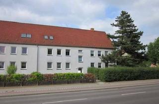 Wohnung mieten in Kranichstraße, 17034 Vogelviertel, kleine 2 Zimmer DG Wohnung mit Abstellkammer und Einbauküche