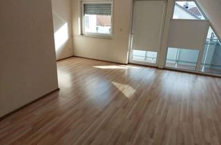Wohnung mieten in Am Leinpfad, 68623 Lampertheim, Helle 60m² große 2,5-Zimmer DG-Wohnung