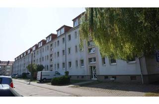 Wohnung mieten in Am Mühlenholz, 39435 Egeln, Helle & Freundliche 2-Zimmer-Wohnung in Westeregeln – Jetzt entdecken!
