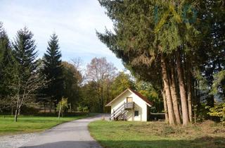 Haus kaufen in 94209 Regen, Landwirtschaftliches Anwesen mit großer Wiese, Mehrparteienhaus und vielem mehr