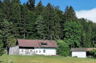 Bauernhaus kaufen in 94545 Hohenau, Idylle pur! Bauernhaus sucht Handwerker!
