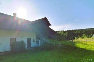 Bauernhaus kaufen in 94545 Hohenau, Idylle pur! Bauernhaus sucht Handwerker!