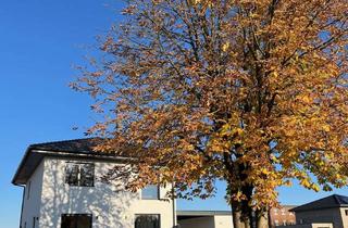 Einfamilienhaus kaufen in 33034 Brakel, Modernes freistehendes Einfamilienhaus in Brakel – Erstbezug in grüner Lage