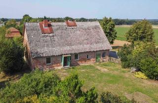 Einfamilienhaus kaufen in Am Hof, 17192 Groß Gievitz, Jetzt Anpacken! Einfamilienhaus mit Gestaltungspotenzial auf romantischem Grundstück in Sorgenlos