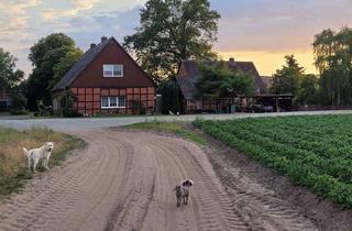 Haus kaufen in 29494 Trebel, Fachwerkhaushälfte mit Fachkwerknebengebäude & Carport