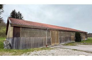 Gewerbeimmobilie mieten in 83714 Miesbach, Ehemalige Reithalle