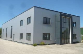 Büro zu mieten in 29223 Celle, TOP LAGE an Bundesstraße! Vielseitig nutzbares Gewerbeobjekt - Büro, Halle, Ausstellungs-Grundstück