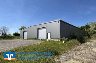 Gewerbeimmobilie kaufen in 66989 Höhfröschen, Neuwertige Gewerbehalle mit ca. 1.180 m² Nutzfläche auf einem ca. 6.100m² großen Grundstück