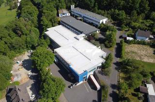 Gewerbeimmobilie kaufen in 57548 Kirchen, FREIRAUM4 +++ Exklusives Gewerbeareal auf XXL-Grundstück mit 5 vielseitig nutzbaren Hallen