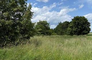 Grundstück zu kaufen in Fuchshainer Straße, 04463 Großpösna, Traumgrundstücke vor den Toren Leipzigs - 2 x 1.500 m² in Großpösna