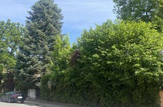 Grundstück zu kaufen in 01277 Blasewitz, Seltene Gelegenheit, einzigartiges Grundstück in Toplage in Dresden-Blasewitz