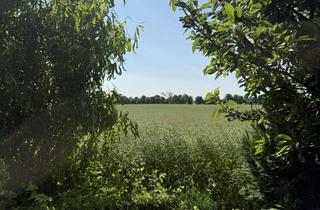 Grundstück zu kaufen in Alte Gärtnerei 65, 18273 Güstrow, sehr schönes Baugrundstück in der Güstrower Südstadt sucht neuen Eigentümer NEU