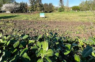 Grundstück zu kaufen in Schweriner Str. 26, 19075 Warsow, Baugrundstück ab 800 m² in Warsow 87,- EUR/m²