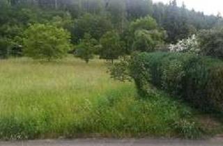 Grundstück zu kaufen in 72479 Straßberg, Baugrundstück - erfüllen Sie sich Ihren Traum vom Eigenheim