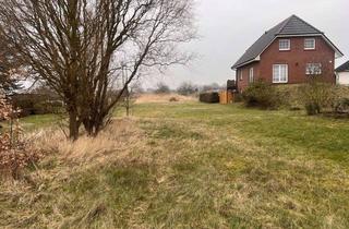 Gewerbeimmobilie mieten in 21037 Kirchwerder, Großes Grundstück direkt am Deich