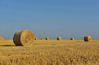 Gewerbeimmobilie kaufen in 25881 Tümlauer Koog, Ackerland zum Kauf
