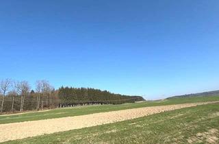 Gewerbeimmobilie kaufen in 87755 Kirchhaslach, *** Agrarland in den Gemarkungen Herretshofen und Hairenbuch im Bieterverfahren ***