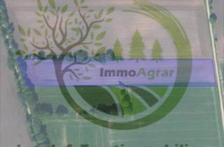 Gewerbeimmobilie kaufen in 27619 Schiffdorf, Verkaufe 1,55 ha Ackerland in 27619 Sellstedt (CUX)