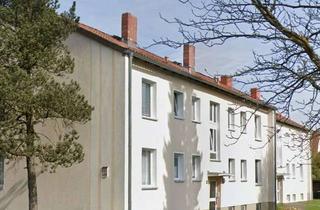 Wohnung mieten in Hollernriede, 29525 Uelzen, Stilvolle, gepflegte 1,5-Zimmer-Wohnung mit Balkon und EBK in Uelzen
