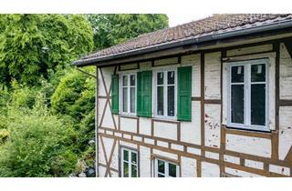 Einfamilienhaus kaufen in 42289 Wuppertal, Saniertes Einfamilienhaus mit Parkgrundstück