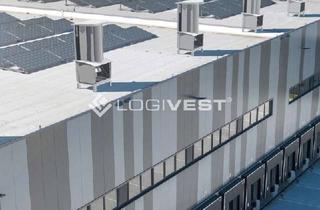 Gewerbeimmobilie mieten in 94330 Salching, Individuell planbare Neubauhalle für Lager, Logistik und/oder Produktion in verkehrsgünster Lage!