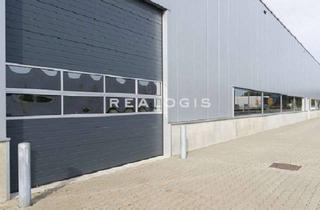 Gewerbeimmobilie mieten in 07749 Nord, Jena | ca. 1.300 m² Lager & Produktion | 8t Kran | ebenerdige Andienung