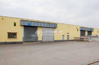 Gewerbeimmobilie mieten in 14778 Roskow, Ab sofort verfügbar: Lager- und Logistikhalle nahe der A10