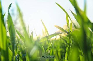 Grundstück zu kaufen in 99189 Haßleben, Landwirtschaftsflächen