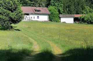 Bauernhaus kaufen in 94545 Hohenau, Idylle pur! Bauernhaus sucht Handwerker!