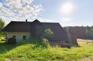 Bauernhaus kaufen in 94545 Hohenau, Idylle pur! Bauernhaus sucht Handwerker!