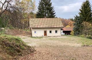 Einfamilienhaus kaufen in 93453 Neukirchen, Neukirchen bei Heiligen Blut - Einfamilienhaus im Außenbereich von 93453 Neukirchen b. Hl. Blut