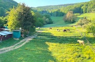 Wohnung kaufen in 63897 Miltenberg, Miltenberg - Da wo man die Ruhe hören kann....