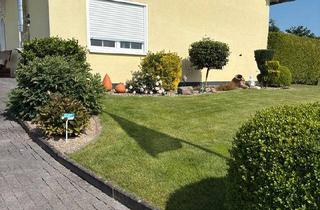 Einfamilienhaus kaufen in 34434 Borgentreich, Borgentreich - Einfamilienhaus