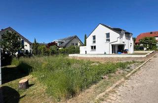Einfamilienhaus kaufen in 71563 Affalterbach, Affalterbach - Mehr als nur vier Wände - Ihr neues Zuhause in Affalterbach Großzügiges EFH in sonniger Randlage