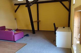 Wohnung mieten in 24629 Kisdorf, Freundliche 1-Zimmer-Dachgeschosswohnung auf Pferdehof