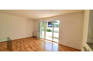 Wohnung mieten in 63303 Dreieich, Schöne, neue renovierte 3 Zimmer-Souterrain-Wohnung von privat in Dreieich-Sprendlingen