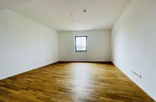 Wohnung mieten in 68167 Neckarstadt, Moderne 2 Zimmerwohnung mit Einbauküche nähe MMT Campus und UMM in der Alten Brauerei
