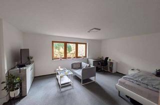Wohnung mieten in 89597 Munderkingen, Helle 1-Zimmer-Wohnung mit Einbauküche, Bad und Flur