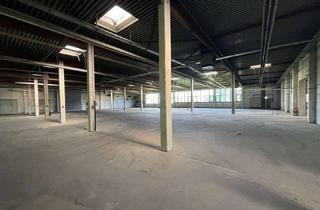 Büro zu mieten in Wiewittel 14, 32584 Löhne, Produktions-und Lagerhalle ca. 1600m/2 + 200m/2 Büro/Whg. in Löhne Gohfeld nähe B611/A30/A2