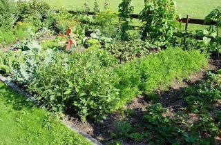 Anlageobjekt in 47807 Fischeln, Gartenland in Fischeln *zu verkaufen*