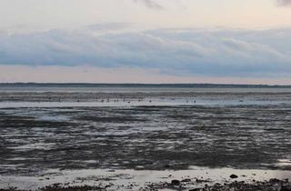Grundstück zu kaufen in 25946 Wittdün, traumhaftes Baugrundstück mit Nordseeblick auf Amrum